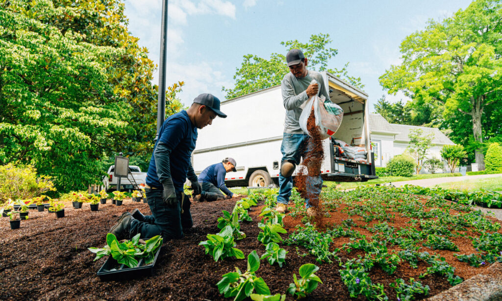 Landscaping Insurance coverage: Very best Firms, Price and Protection gettyimages 2163851637 1920x1152.jpg