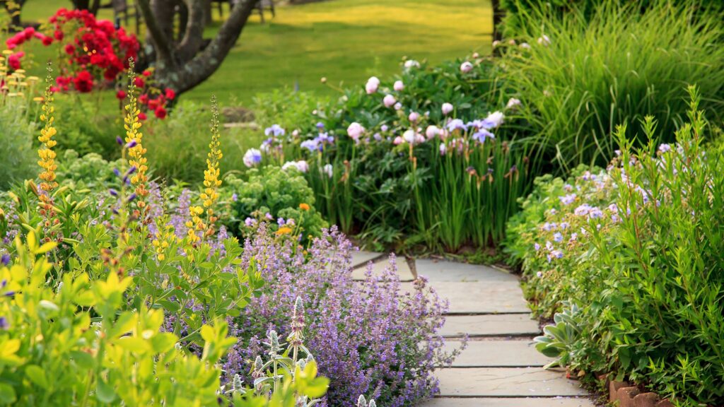 5 Rapid-Rising Border Vegetation That Will Building up Curb Attraction 945f83ff21c94a523cc596ee9cf9ab1dw c1906564187srd q80.jpg